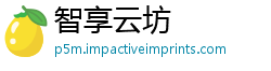 智享云坊